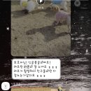 싱글몽글 이미지