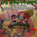 용인 한터낚시터 손맛터에서 어깨 빠지도록 붕어, 향어 잡고 왔어요.