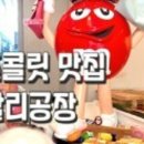 제주의별 이미지