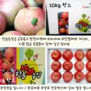 GAP인증 한솔농장 시나노스위트 요까 50% 맛보기 이벤트 이미지