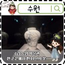 수원 국립농업박물관 아이랑가볼만한 손끝에서 핀 나날의 꽃 전시 후기