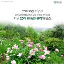 화순허브뜨락 이미지