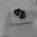 해밀동물병원 이미지