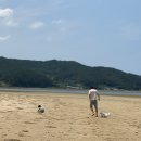 더샌드힐