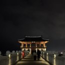 남구-157 | 2026년 2월 런말결산 (157km)