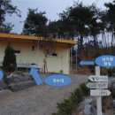 아잘리아그린 이미지