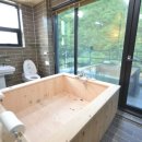 비다펠리스 이미지