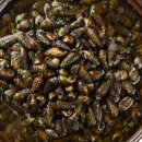 성진푸드 이미지