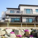 상사의숲 이미지