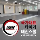 국가대표 타이거 태권스쿨 이미지