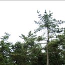 케빈오토 이미지