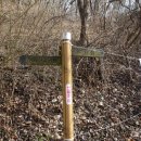 장태산휴양림 이미지