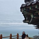 구름나래 | [여수 여행] 흐린 날이라 더 깊었던 향일암의 운치, 그리고 그린나래 카페의 쌍화차 한 잔