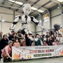 포항국제아트페스티벌 이미지