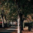 한때-아름다운 시간 이미지