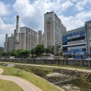 부성태권도장 이미지