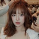 정연