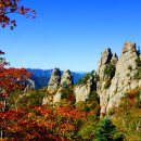 금수강산 이미지