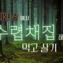 건아기획