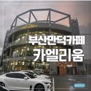 나우커피부산만덕점 | 부산만덕카페 카엘리움 - 뷰와 베이커리 모두 만족한 만덕대형카페 데이트 후기
