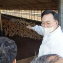 시장축산 케이에스피뉴스