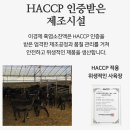 최승구 흑염소 사육장 | 이경제 흑염소 진액 진 스틱, 효과 있을까? 내돈내산 한달 후기