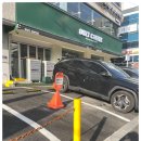 황금송아지 이미지