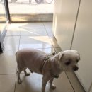 홍제동물병원 이미지