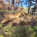 암사역사공원 이미지