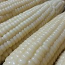 골말농장 이미지