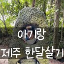 성산주유소 | 아기랑 제주 한달살기 후기｜임산부·배편·비용·꿀팁