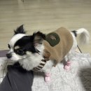 호삭이두마리치킨 정관점 | 안녕