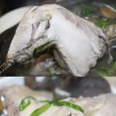 초월약초 이미지