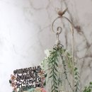 롤리 앤 폴리 이미지