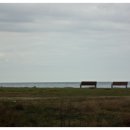 소떼목장 이미지