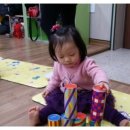 베베키즈스포츠