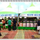 영동농협 양강지점