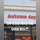 어텀데이즈