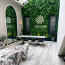 아니다웰니스의원 이미지