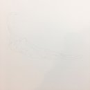 색연필 보태니컬 아트 이미지