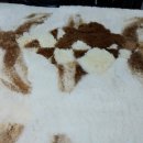 수선과 세탁 이미지