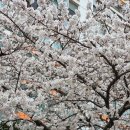 삼공삼공영어학원 - 군포시 삼성로20번길 3-23 | 삼공삼공영어학원