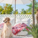 월드스카이호텔 이미지