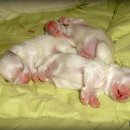 고은햇살 이미지