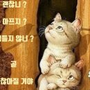 세이에너지 이미지