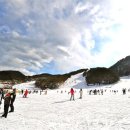 수안보이글벨리스키리조트 이미지