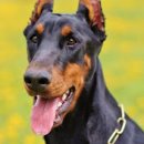 풍물(야간) 이미지