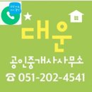 진해대운공인중개사사무소 이미지