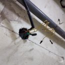 태양맨션 이미지