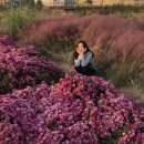 해피뚜데이 이미지